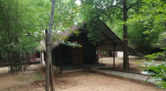 Bannerghatta Nature Camp