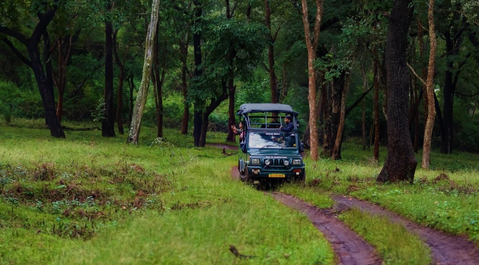 k gudi forest safari