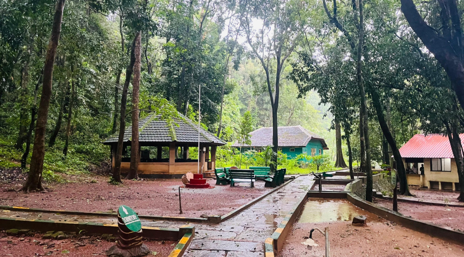 Anejhari Butterfly Camp