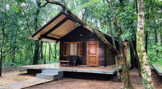 Seethanadi Nature Camp