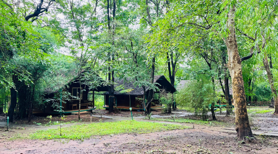 Sakrebyle Elephant Camp