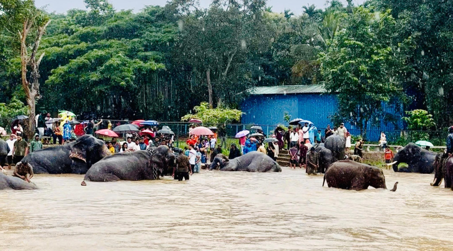 Sakrebyle Elephant Camp